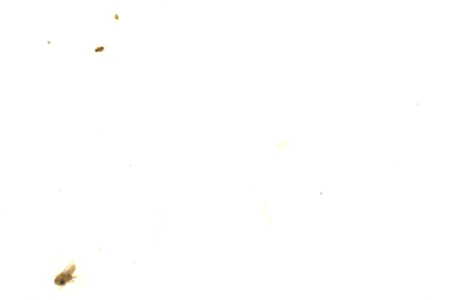 Image 115